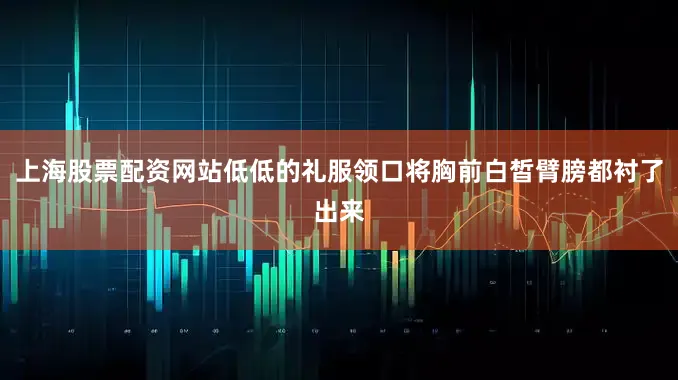上海股票配资网站低低的礼服领口将胸前白皙臂膀都衬了出来